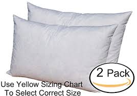 Pillowflex 95 Feather By 5 Down Pillow Form Insert