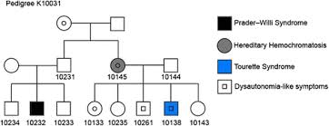 Whole Genome Sequencing Of One Complex Pedigree Illustrates