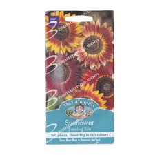 Karakteristik khas bunga matahari jenis giant sun gold adalah bentuk bunganya. Jual Benih Sunflower Evening Sun 50 Biji Mr Fothergills Bibitbunga Com
