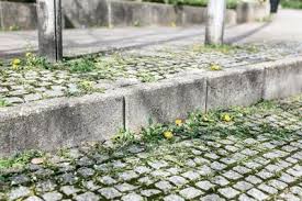Check spelling or type a new query. Weed Removal With Hot Water Karcher International