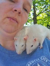 My baby soaking up the beautiful weather yesterday.