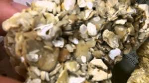 Maybe you would like to learn more about one of these? Chemical Organic Sedimentary Rock Id Youtube