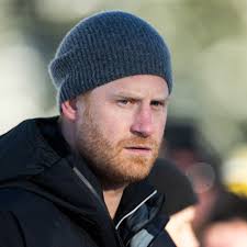 Excerpt: Bruce McCall's 50 Things to Do with a Book