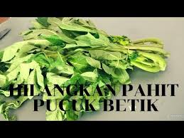 Bentuknya berupa segitiga sama kaki dengan pola berderet. Cara Mudah Hilangkan Rasa Pahit Pucuk Daun Betik Youtube