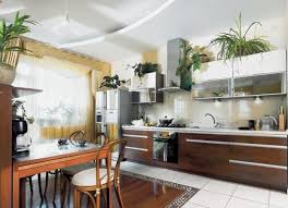 greenery above kitchen cabinets ideas