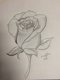 Rose Drawing Roses Drawing Art Drawings Sketches Flower Drawing