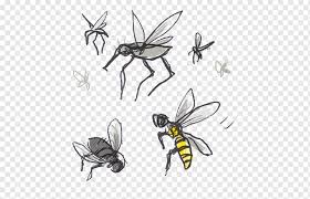 99 gambar nyamuk kartun hitam putih terbaru gambar kantun. Kartun Laba Laba Lebah Madu Serangga Gigitan Dan Sengatan Serangga Nyamuk Lepidoptera Tawon Kartun Kartun Lebah Hitam Dan Putih Png Pngwing