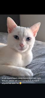 Hello everyone..just recently moved into Burton from the Black Country👍  Stand by for lots of questions about where to find stuff!! 😂