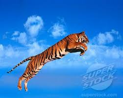  Superstock 1829 17441 Jpg 350 281 Lukisan Harimau