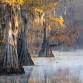 Local Art Show: Debbie Campbell - Hidden Wilds Photography