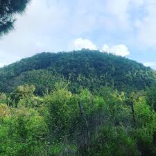 Adrian Farfan (@_farfan_adrian) • Instagram photos and videos