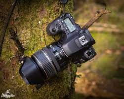 Pin On Cameras