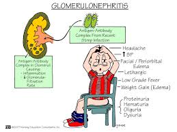 Natural history of chronic proteinuria complicating pregnancy. Nursing Medical Surgical Nursing Pediatric Nursing Surgical Nursing