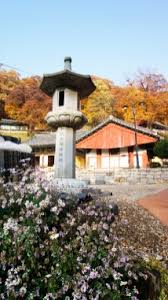 Explore Rural Korea: Cheongyang Alps Village