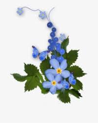 Png bilder blumen schöne hintern kunstbilder weihnachts kranz illustration mason jars. Blumen Png Images Transparent Blumen Image Download Pngitem