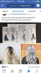 Pin By Amber Rae Krowinski On Me Aveda Hair Color Hair Color Formulas Silver Hair Color Formula