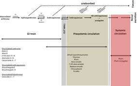 Secara geografis kecamatan ini berada di lokasi yang strategis, karena terletak di antara 4 ibu kota kabupaten/kotamadya, yaitu surabaya (timur), sidoarjo (selatan), gresik (utara). Safety Of Hydroxyanthracene Derivatives For Use In Food Abstract Europe Pmc