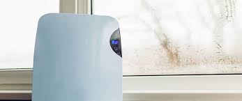 What does co stand for on dehumidifier. Do Dehumidifiers Work Against Damp Timberwise