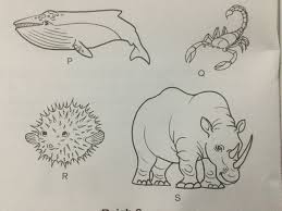 Maybe you would like to learn more about one of these? Antara Haiwan Berikut Yang Manakah Melahirkan Anak Which Of The Following Animals Can Giv