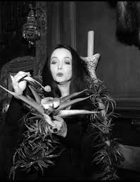 Feeding Cleopatra Addams Family Tv Show Addams Family Show Addams Family