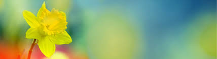 Exposure to ultraviolet (uv) rays causes most cases of melanoma, the deadliest kind of skin cancer. Be Sun Safe To Help Reduce Your Skin Cancer Risk Canadian Cancer Society