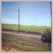Fairfield Ca California American Canyon Fairfield Solano County