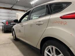 Image result for White Gold 2018 Focus