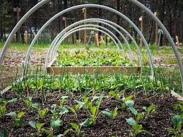 Dreaming of building your own diy greenhouse? Diy Small Greenhouse Step By Step Greenhouse Emporium