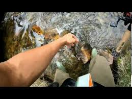 Maybe you would like to learn more about one of these? Creekside Rv Park In Bishop Ca Trout Coleman Hiking May 28 2020 Youtube