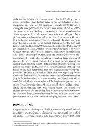 Cover Letter Examples Yale For 2021 Printable And Downloadable Cust