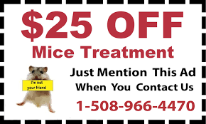 Do it yourself termite control: Hopkinton Ma Exterminator Pest Control Services From D T Pest Control Inc
