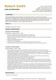 Generated metrics with method level granularity and persistence using spring aop and spring actuator. Lead Java Developer Resume Samples Qwikresume