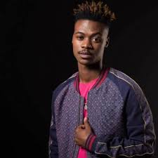 Mlindo The Vocalist Akaphiki In 2020 Vocalist Music African Music