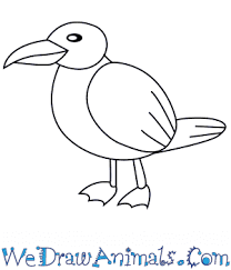 Drawing words writing pictures volume 1. How To Draw A Simple Seagull For Kids