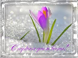 поздравление с днем рождения свекрови от невестки в стихах Https Encrypted Tbn0 Gstatic Com Images Q Tbn 3aand9gcsffuq3foybrh Zp2gcjosjvjjqjkowatawxw Usqp Cau