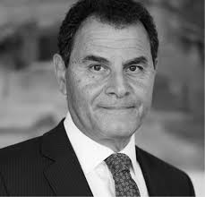 Fusion Village Governanace