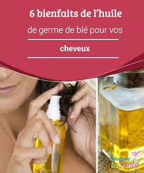 6 Bienfaits De L Huile De Germe De Ble Pour Vos Cheveux Ameliore Ta Sante Germe De Ble Huile Germe De Ble Recette Beaute