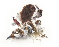 Black And White English Springer Spaniel Hunting Watercolour Print English Springer Spaniel By Valery Siurha 20 28 Springer Spaniel English Springer Spaniel Hu Spaniel Art Dog Print Art Watercolor Dog