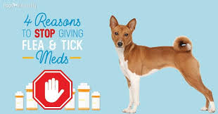 4 Natural Flea Tick Repellent Recipes For Your Dog Tick Repellent Flea And Tick Natural Dog Care