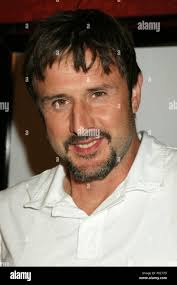 19 03 2008 hi-res stock photography and images