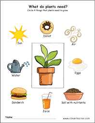Needs Of Plants Worksheets For Preschool Preschool Worksheets Children Science Plants Kindergarten Plants Worksheets Planting For Kids