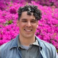 20+ "Gabbard" profiles