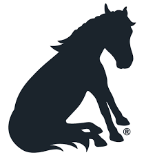 Pony Friday