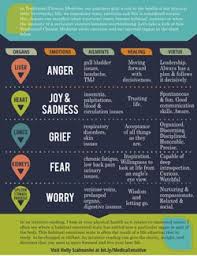 Holly Scalmanini Emotions Organs Chart The Mind Body