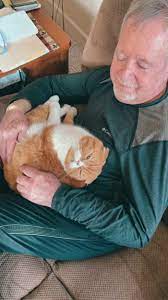 Bone marrow is a thick liquid inside your bones. Cat Refuses To Leave The Side Of His Grandpa Who S Fighting Cancer Bored Panda