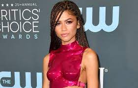 Zendaya Responds to Fan Who Asks About Her Breasts in Critics' Choice Look  | 2020 Critics' Choice Awards, Critics' Choice Awards, Zendaya | Just  Jared: Celebrity News and Gossip | Entertainment