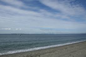 A symptom, such as pain or fatigue, is felt or noticed by the person who has it.; The Feminine Signs The Earth And Water Signs In Astrology By Rebecca Brents Medium