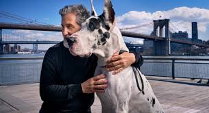 An A-List Animal Trainer Prepares a Great Dane for His Film Début | The New  Yorker
