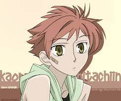 Ouran High School Host Club - Hitachiin Kaoru | Host club, High school host  club, Ouran high school host club