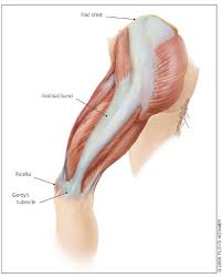 This article discusses symptoms, causes, treatments pain at the back of the thigh, foot, and calf; Iliotibial Band Syndrome A Common Source Of Knee Pain American Family Physician
